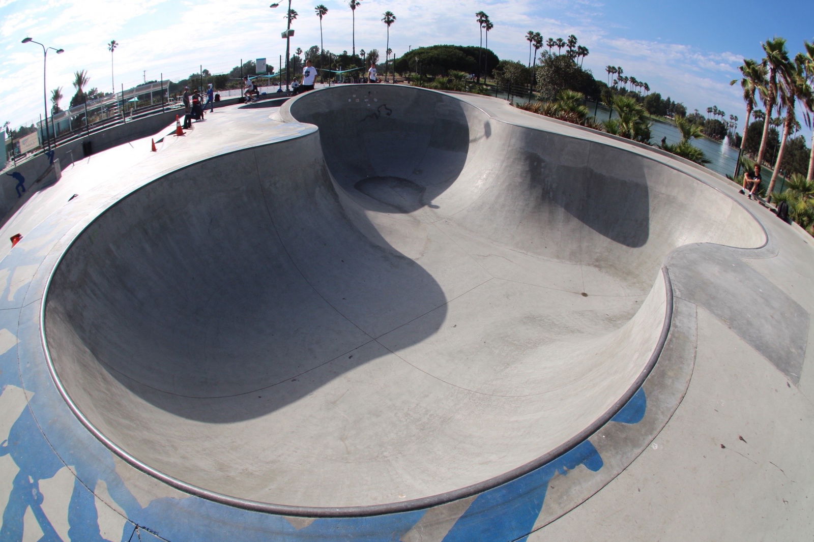 Alondra skatepark
